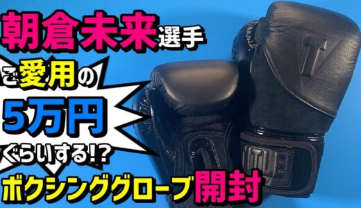 朝倉未来選手ご愛用の高級ボクシンググローブ 同じものを購入しました TitleのBlack Blitz Fit Boxing Glovesをアンボックス 開封動画です