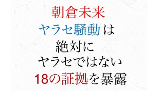 朝倉未来やらせ動画 騒動 絶対にやらせではない 18の証拠を暴露【謝罪動画】