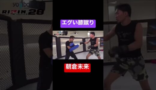 【朝倉未来】エグい膝蹴り #rizin #mma #shorts #朝倉未来