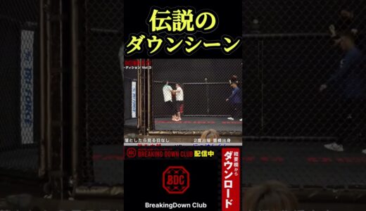 伝説のダウンシーン#ブレイキングダウン #朝倉未来 #shorts #breakingdown ＃10人ニキ