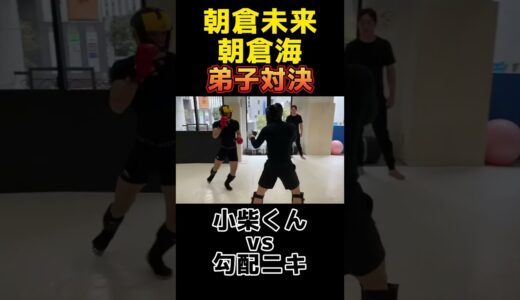 【弟子対決】朝倉未来、朝倉海の弟子対決　小柴くんvs勾配ニキ #朝倉未来 #朝倉海 #小柴亮太 #勾配ニキ #信原空 #スパーリング#弟子