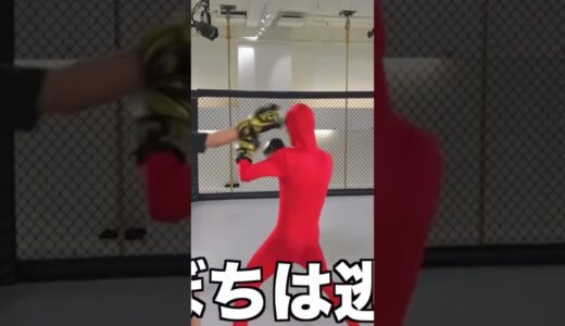 テオくんの一撃で朝倉未来が悶絶！？！？【スカイピース】