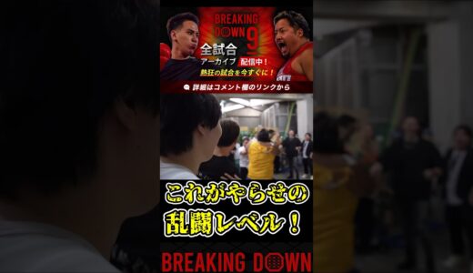 これがやらせの乱闘レベル！朝倉未来も苦笑い…【ブレイキングダウン9/ブレイキングダウン/BreakingDown/オーディション】#shorts