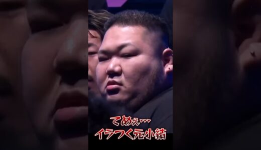 【ブレイキングダウン】舐めた態度のMMA選手にキレかかる大相撲の元小結【breakingdown 切り抜き】#明月院 #ブレイキングダウン #朝倉未来 #喧嘩自慢 #shorts