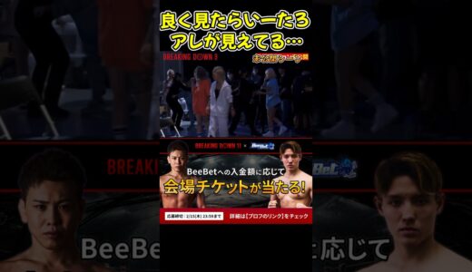 【ブレイキングダウン 未公開】いーたろ乱闘の時にパ〇ツが見えてる…なんだかエ〇っ…マジか…【ブレイキングダウン11/朝倉未来/BreakingDown/オーディション】#shorts