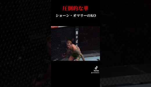 ショーン・オマリーの華のあるKOシーン #格闘技 #rizin #ufc #平本蓮